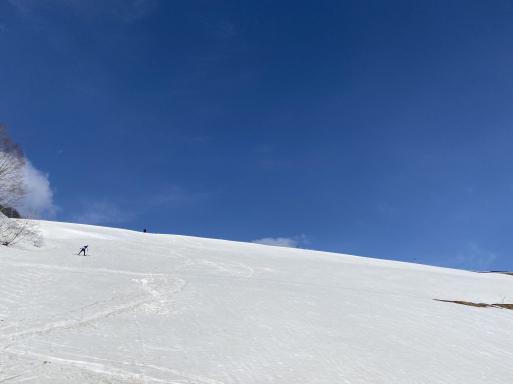 笹ヶ峰xcスキーツアー Alp Ski Team